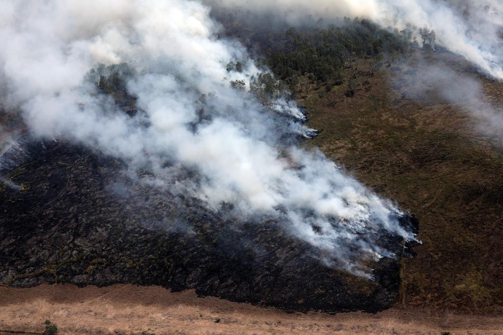 Tinjauan udara penanganan kebakaran hutan dan lahan di Kalimantan Selatan.